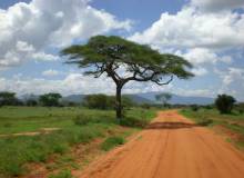 Safari e Mare in Africa a fine Gennaio